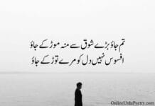 One Sided Love Poetry in Urdu
