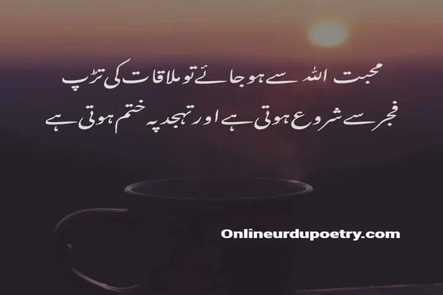 Unique Deep Islamic Quotes In Urdu
