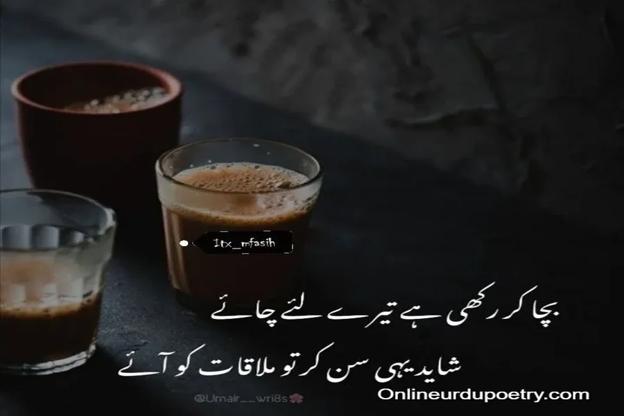 Poetry About Chai In Urd