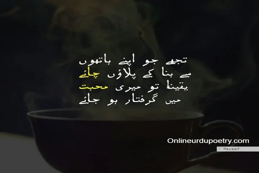Chai Shayari Poetry On Tea In Urdu