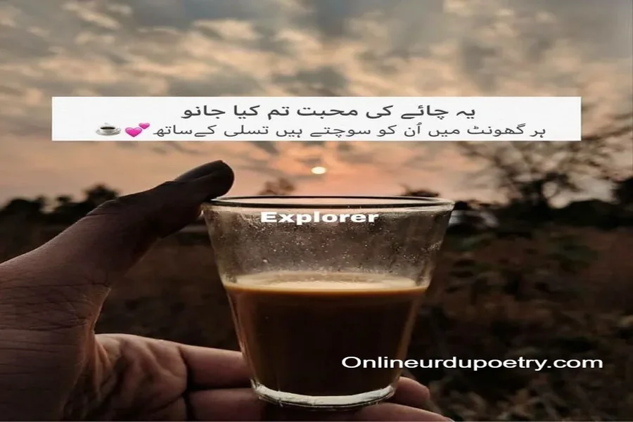 Chai Poetry Funny Memes Chai Funny Quotes In Urdu