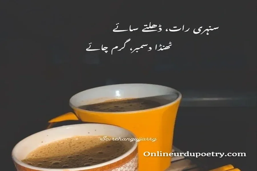 Poetry On Chai In Urdu Text