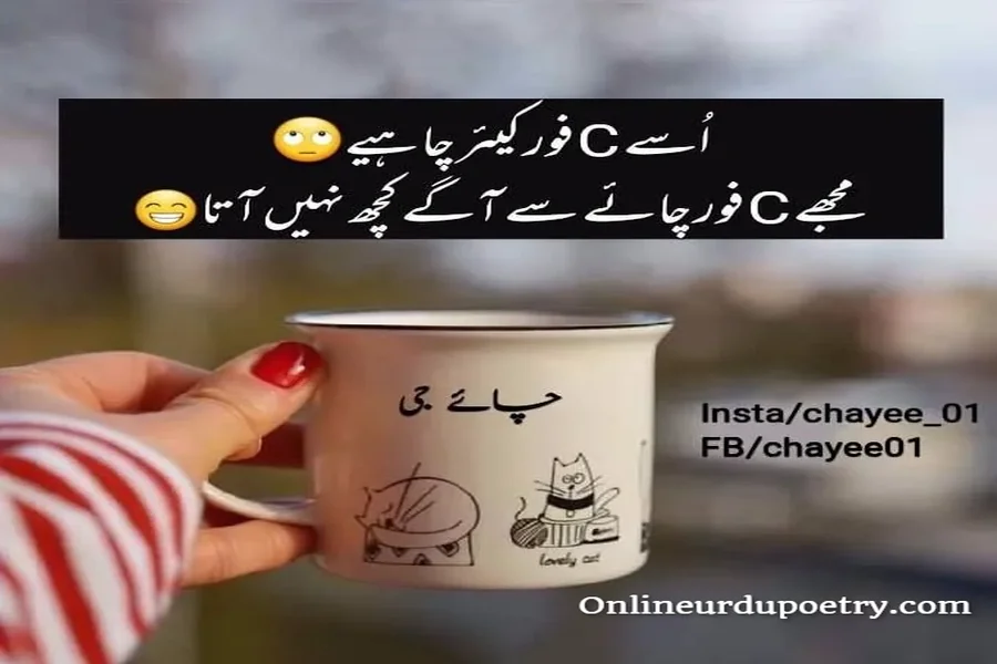 Heart Touching Deep Chai Poetry In Urdu