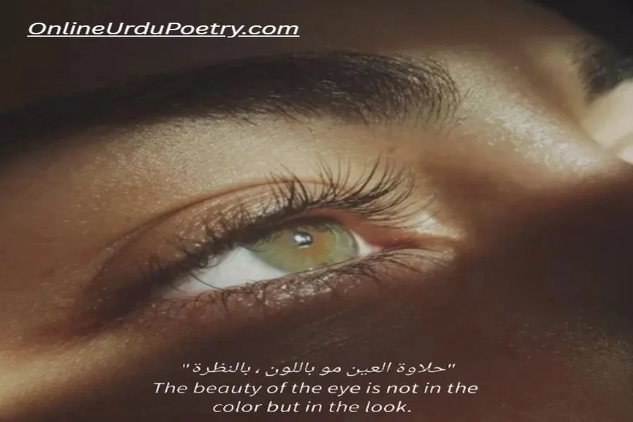 Killer Eyes Poetry In Urdu Text Copy And Paste