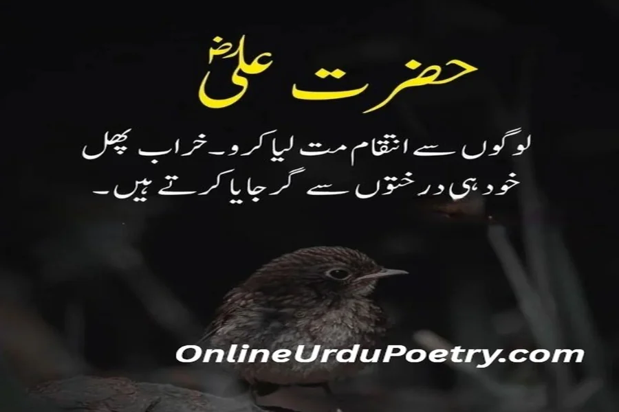 Motivational Quotes In Urdu For Success