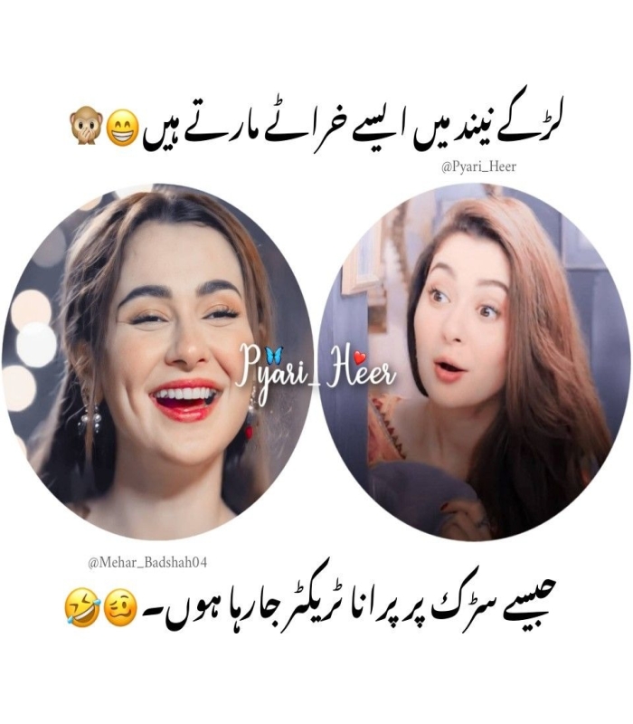 Funny Poetry For Teachers In Urdu 2 Lines