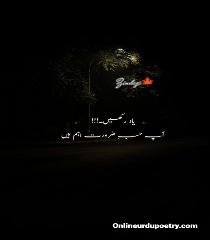 Sad Poetry In Urdu 2 Lines Deep About Life