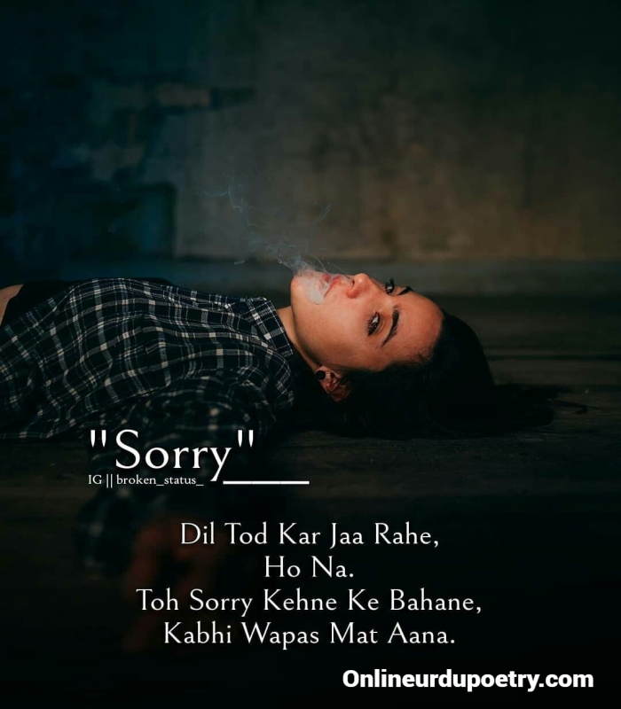 Hurt Sorry Shayari In English