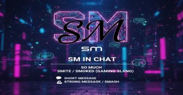SM Full Form in Chat