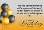 Birthday Wishes For Big Brother In Hindi