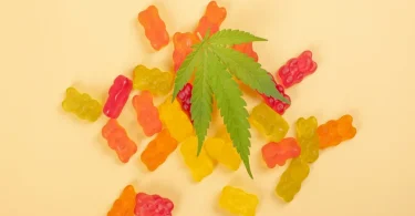 CBD Gummies