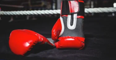 Top Boxing Gloves for Hand Protection and Wrist Support