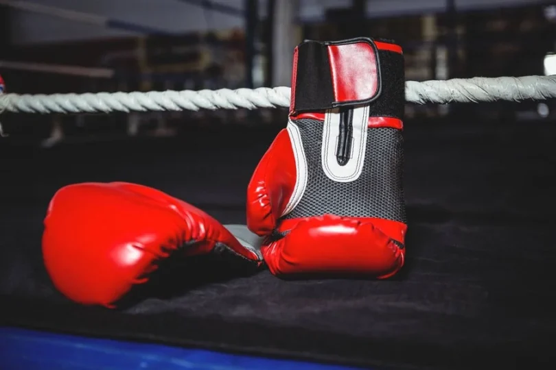 Top Boxing Gloves for Hand Protection and Wrist Support