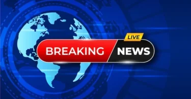 Info Digitalnewsalerts